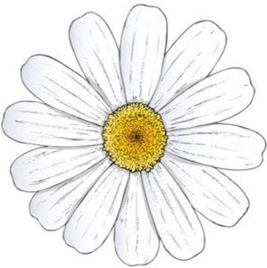 Meet your Posher, Ava